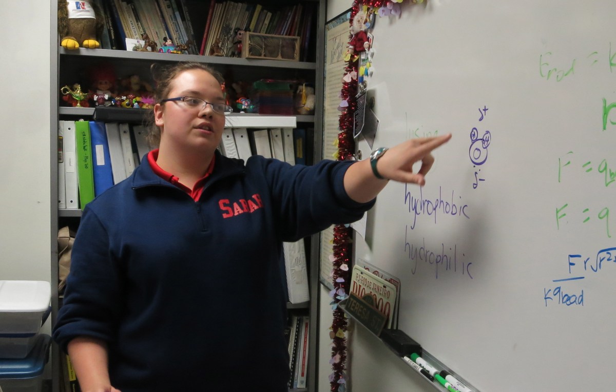 Teaching DNA extraction